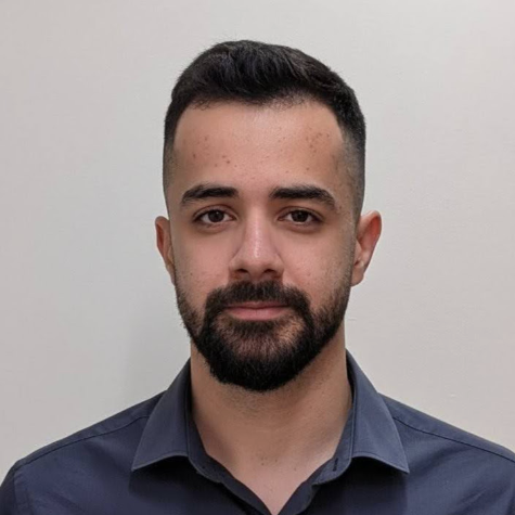 Seyed Morteza Mirjebreili